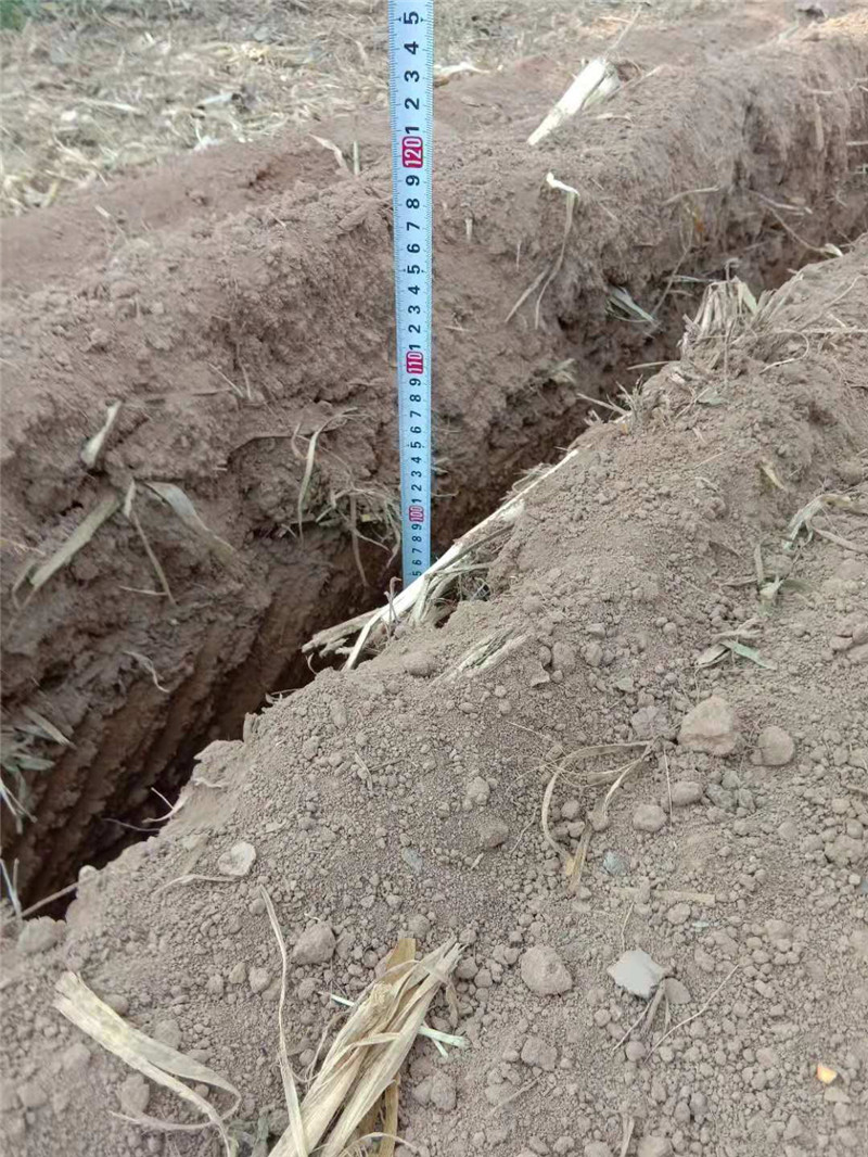 施工現(xiàn)場(chǎng)